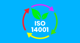 El Programa brinda conocimientos para implementar las normas ISO 14001:2015, ISO 14064:2015 e ISO 50001:2018 en una organización.